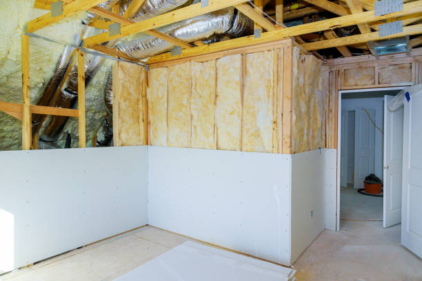 Best Eco-Friendly Insulation in Tucson Estates, AZ