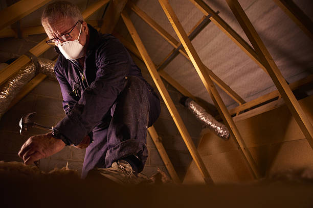 Best Cellulose Insulation in Tucson Estates, AZ